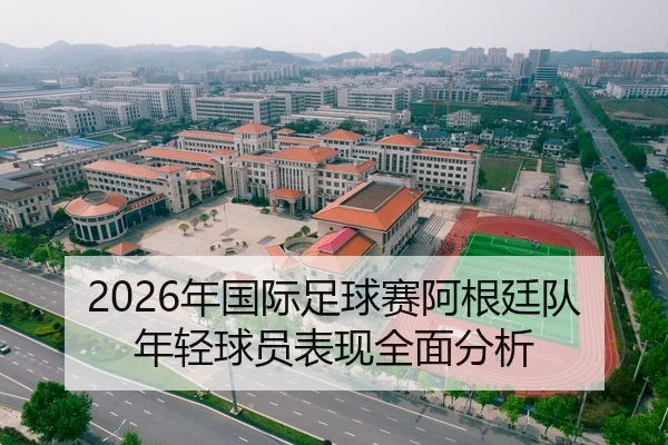 2026年国际足球赛阿根廷队年轻球员表现全面分析