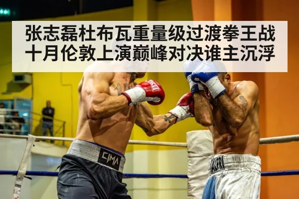 张志磊杜布瓦重量级过渡拳王战十月伦敦上演巅峰对决谁主沉浮