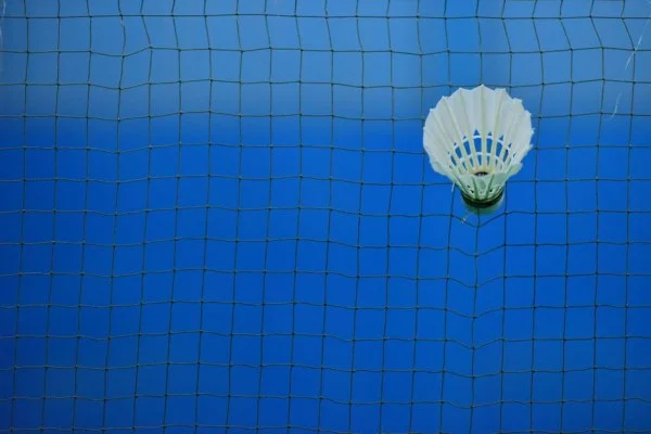 badminton net shot